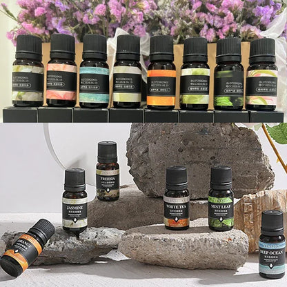 17-in-1 Aromatherapy Oil Collection | 10ml Bottles for Home Diffuser, Car Freshener & Humidifier | Lavender, Rose & More