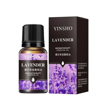 17-in-1 Aromatherapy Oil Collection | 10ml Bottles for Home Diffuser, Car Freshener & Humidifier | Lavender, Rose & More