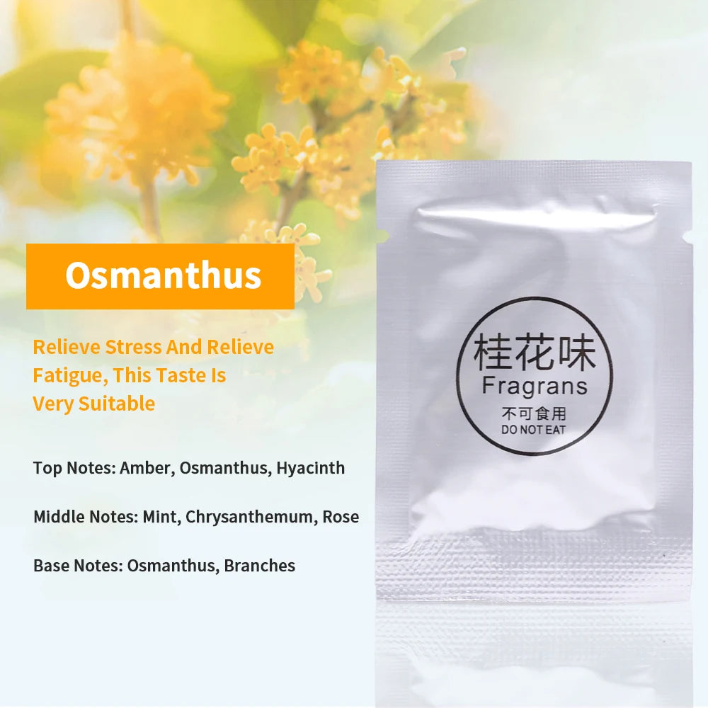 Hidden Air Vent Aromatherapy Clip | Solid Scent Strips & Tablets for Cars | Wind Direction Paddle Diffuser