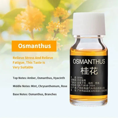 10ml Essential Oil Refill for Car Vent Clips | Aroma Perfume Replenisher for Air Conditioning & Humidifiers