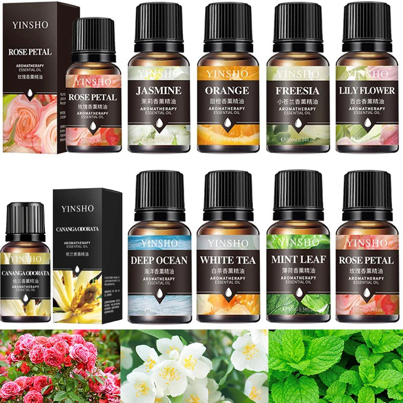 17-in-1 Aromatherapy Oil Collection | 10ml Bottles for Home Diffuser, Car Freshener & Humidifier | Lavender, Rose & More