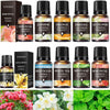 17-in-1 Aromatherapy Oil Collection | 10ml Bottles for Home Diffuser, Car Freshener & Humidifier | Lavender, Rose & More